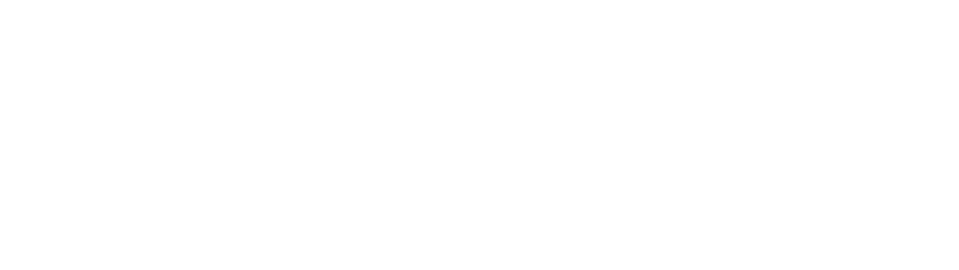 Logo MvSoft Solutions